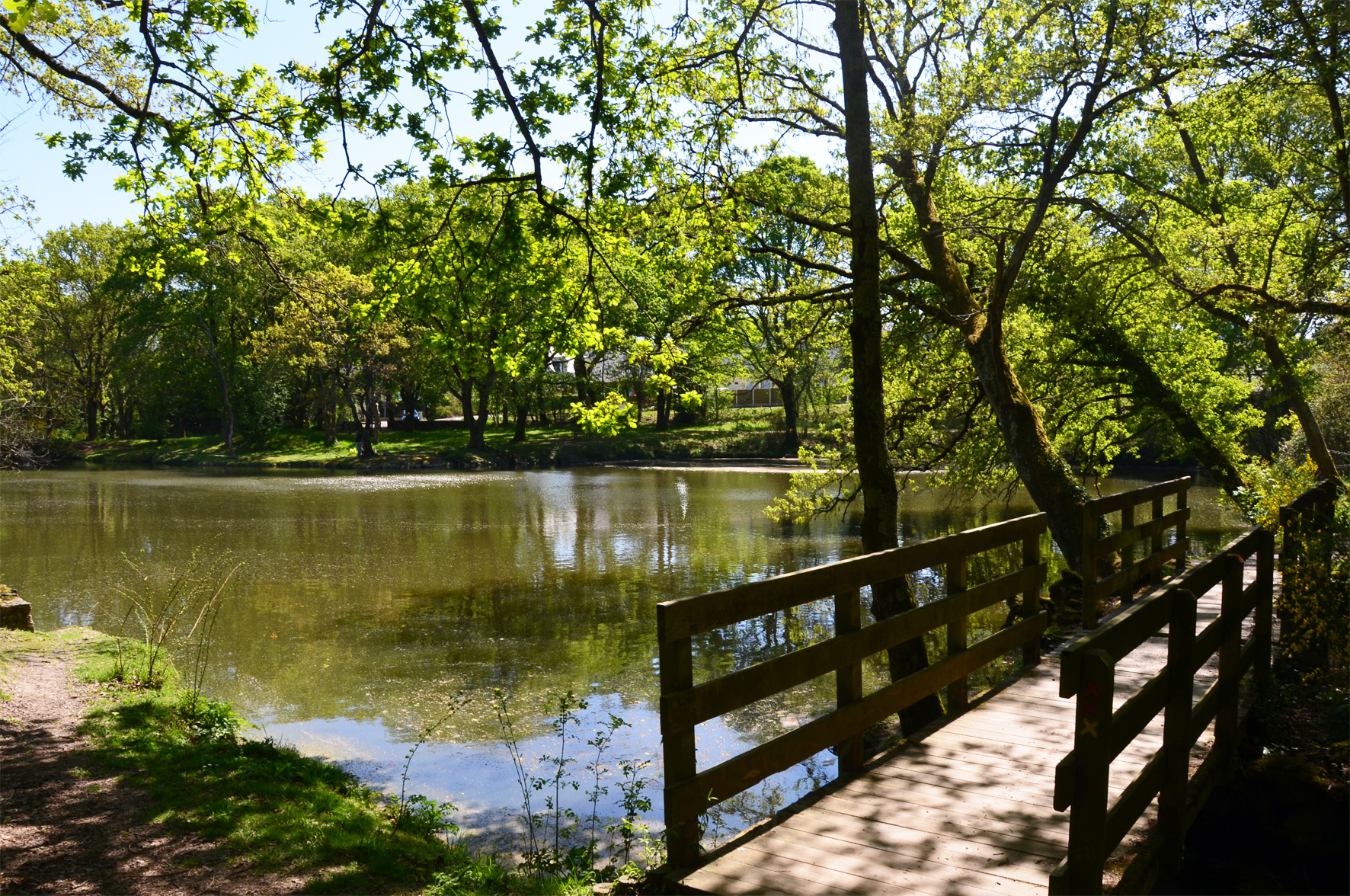 printmeps-vert-avec-pont