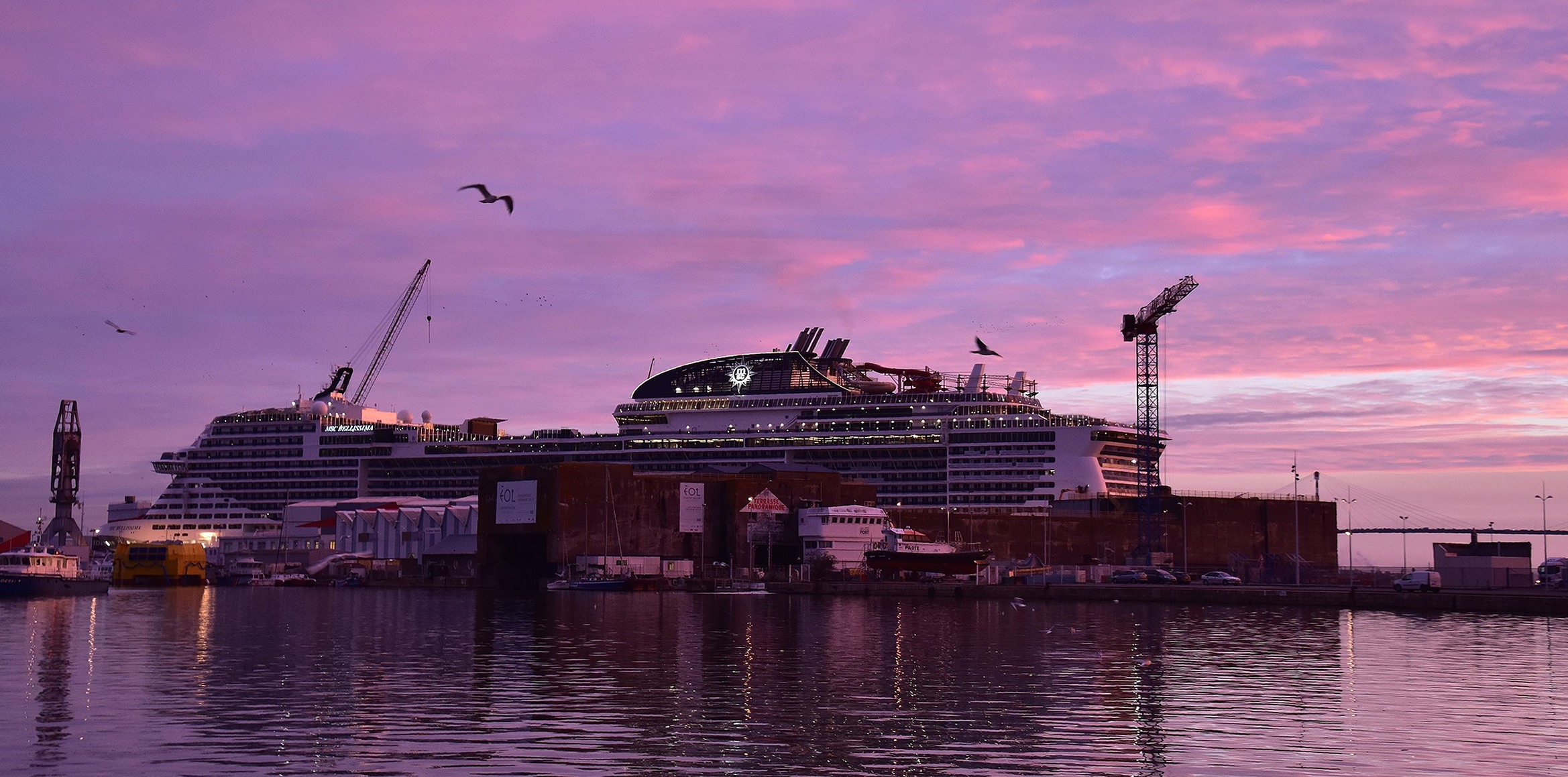 msc-lever-de-soleil-rose-