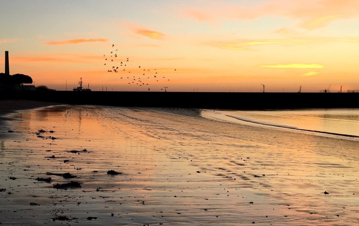 devant-jetee-avec-oiso