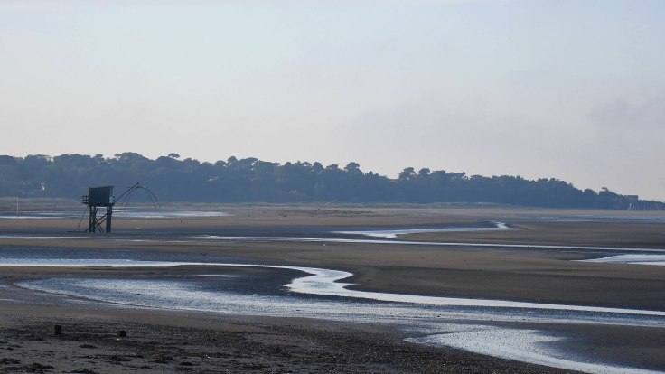 pecherie-maree-basse-2