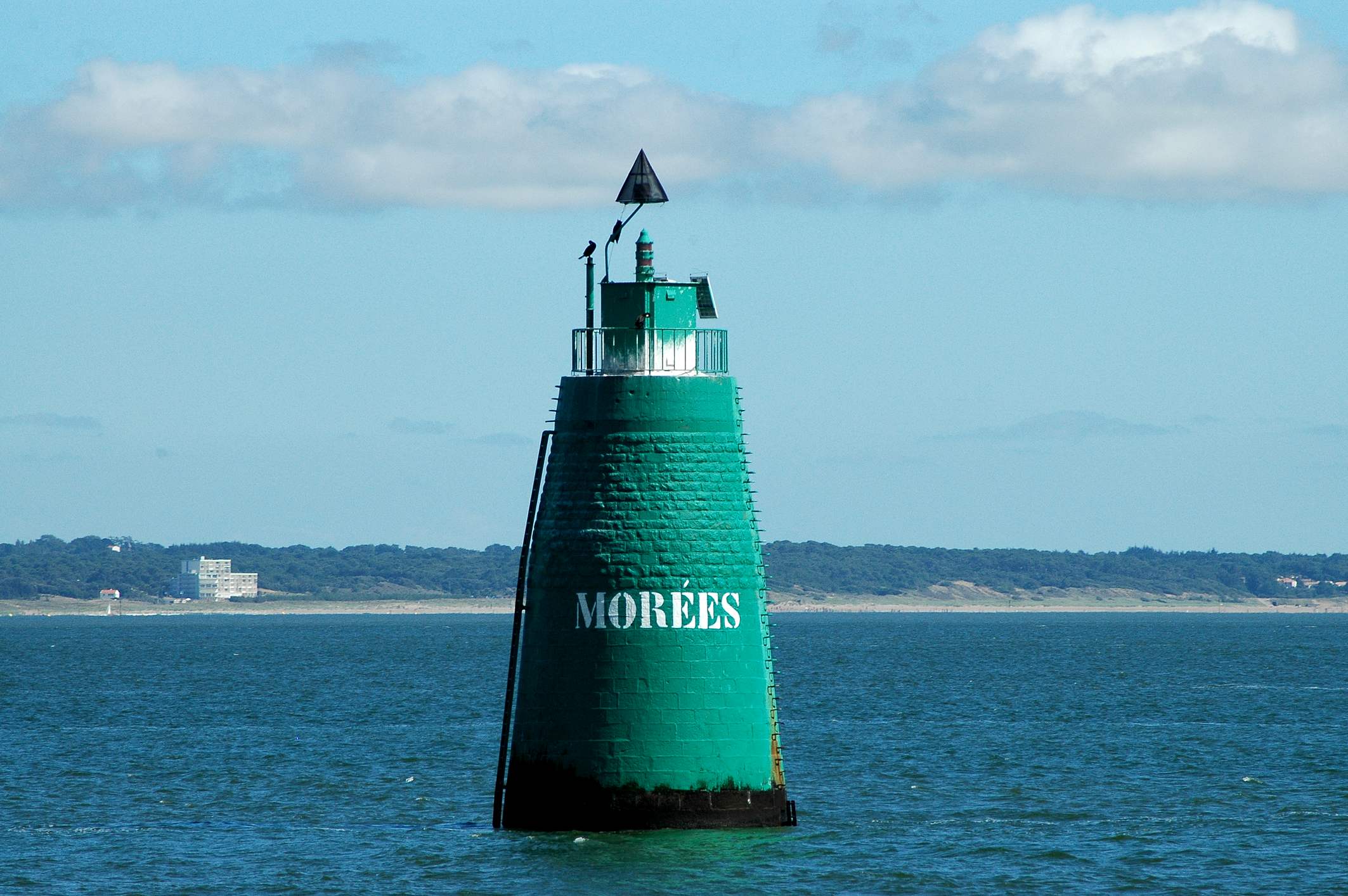 Morees-1