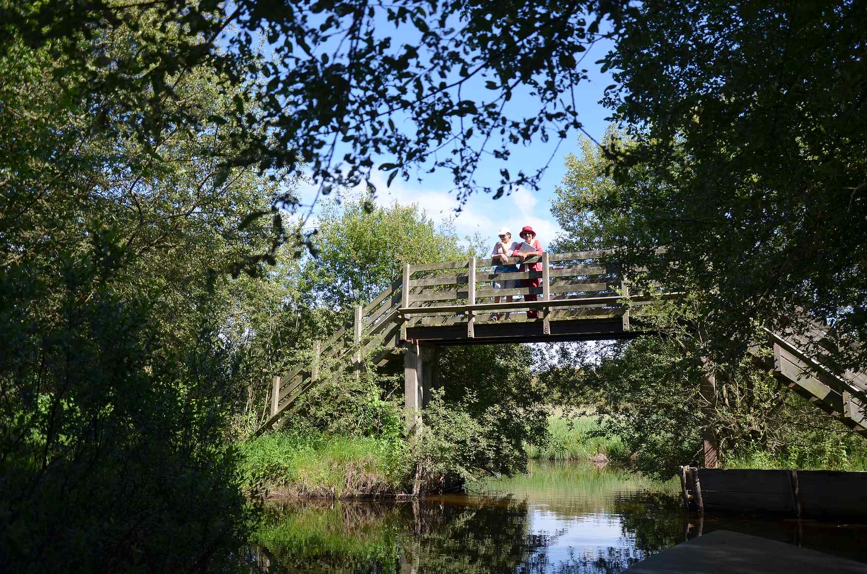pont-avec-promeneurs