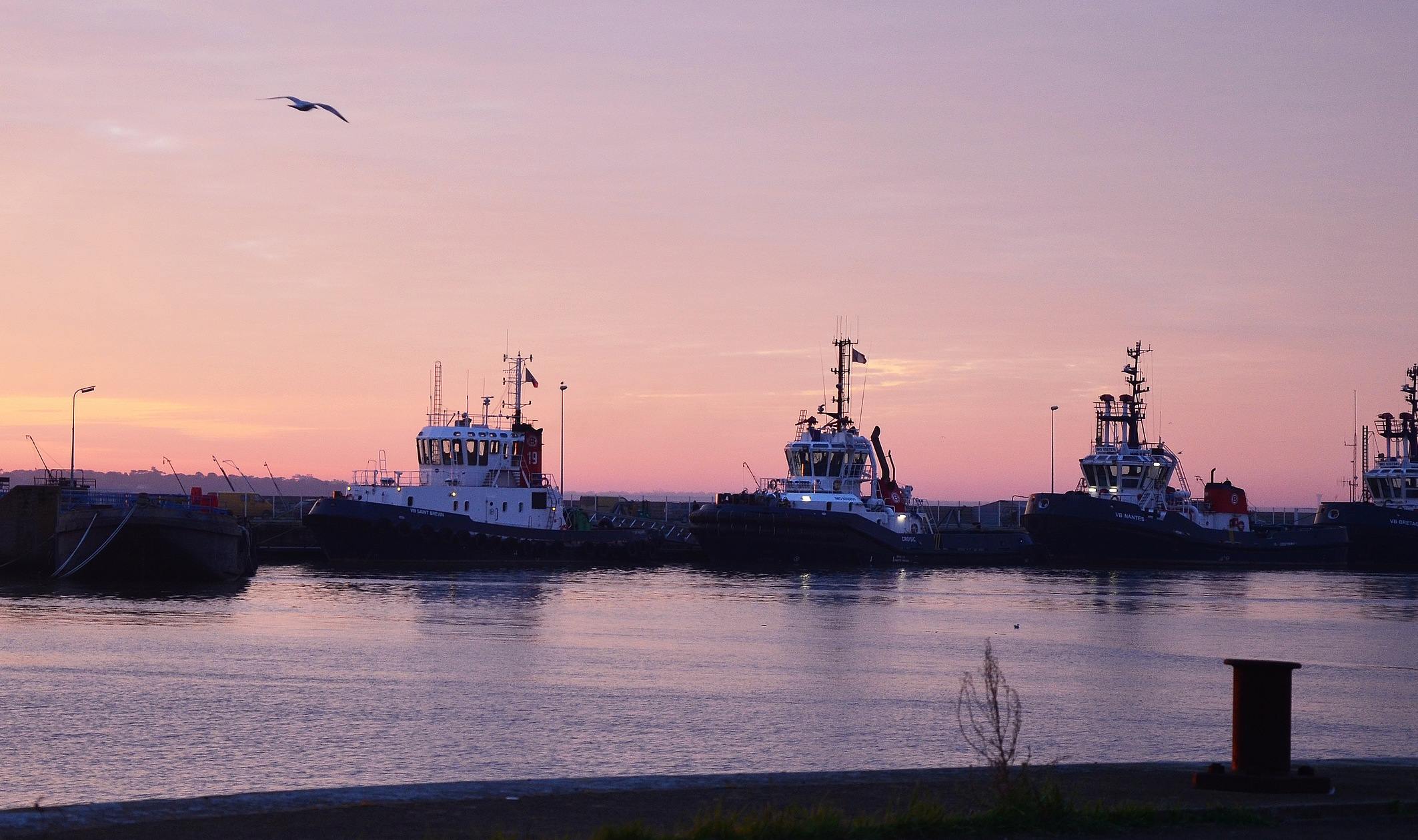 remorqueurs-matin-mauve