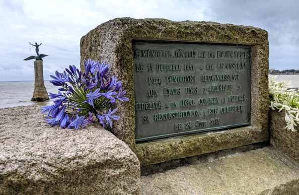 plaque-reconstruction