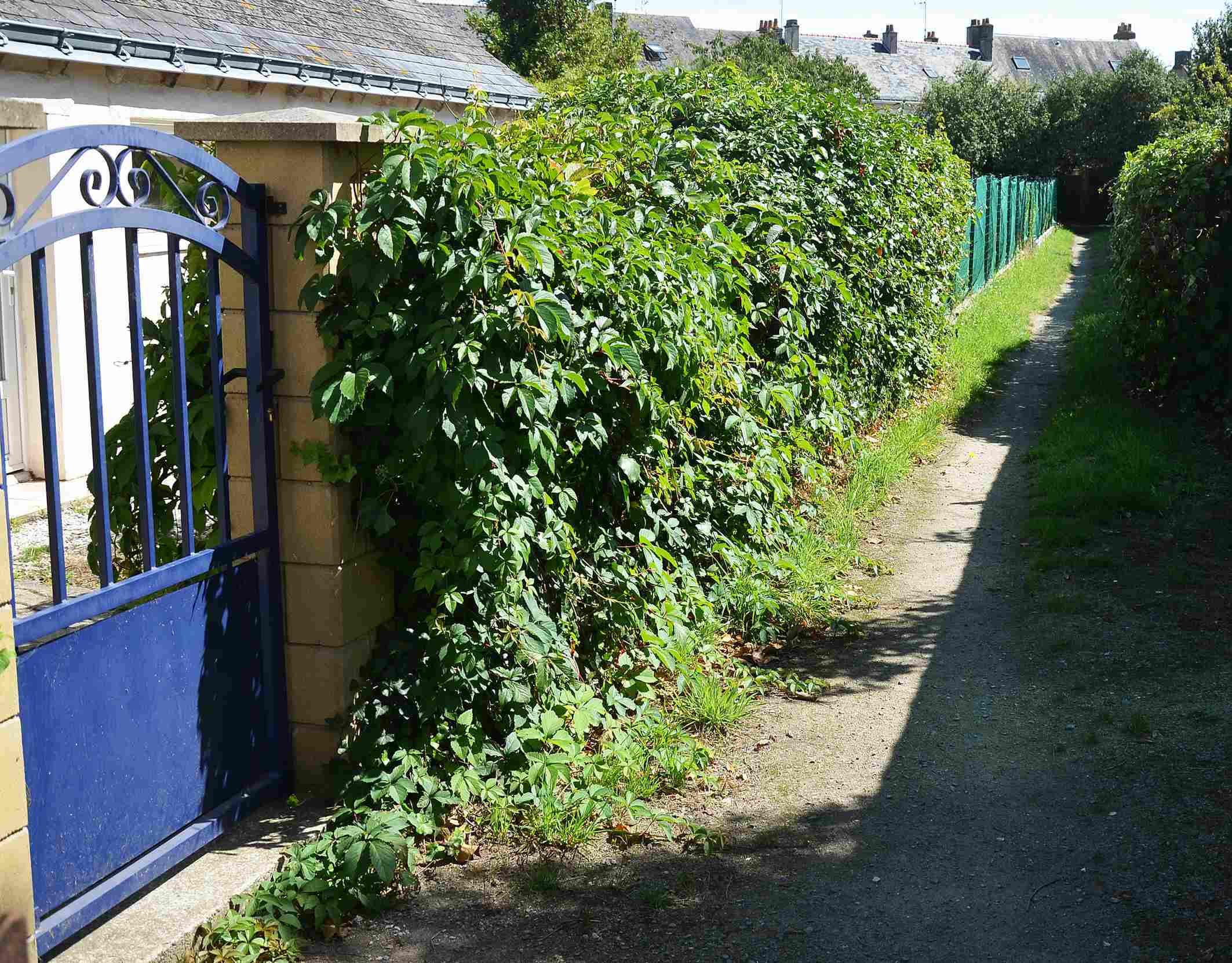 chemin-2